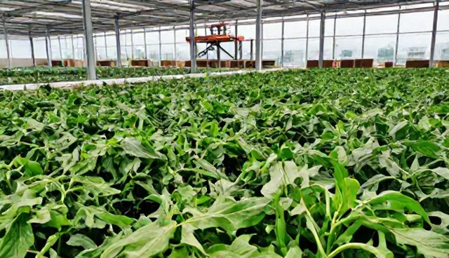 设备运行中的材料供应问题及应对策略